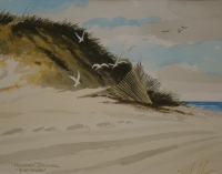 Quiet Shore