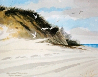 Quiet Shore